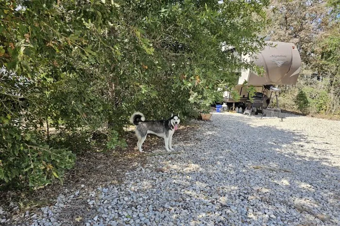 Morrison Creek Cabins & RV Park Picture 5