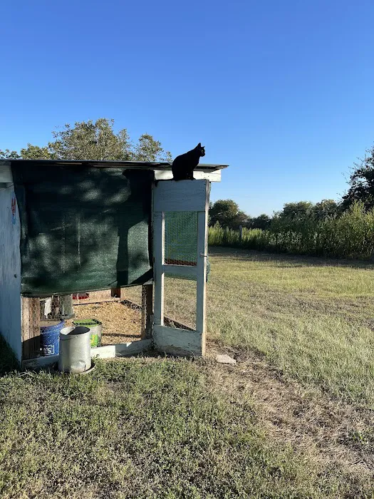 11 Oaks R.V, Park Picture 1