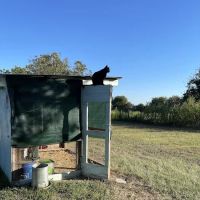 11 Oaks R.V, Park ico