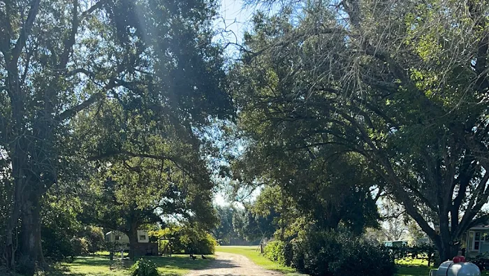 11 Oaks R.V, Park Picture 5