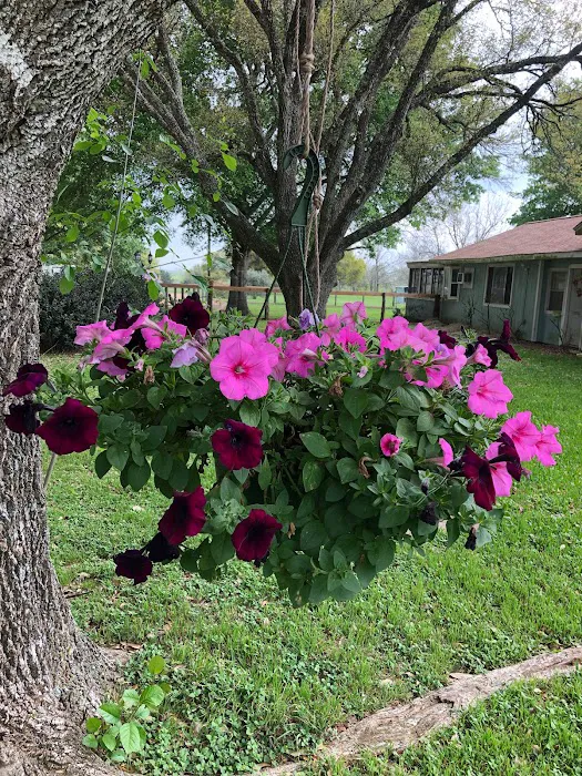 11 Oaks R.V, Park Picture 9