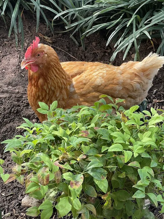 11 Oaks R.V, Park Picture 7