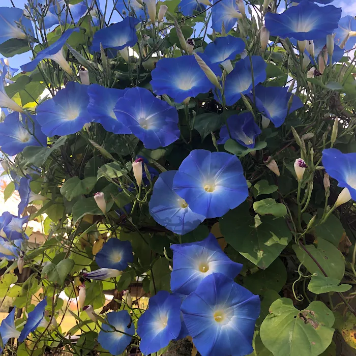 11 Oaks R.V, Park Picture 10