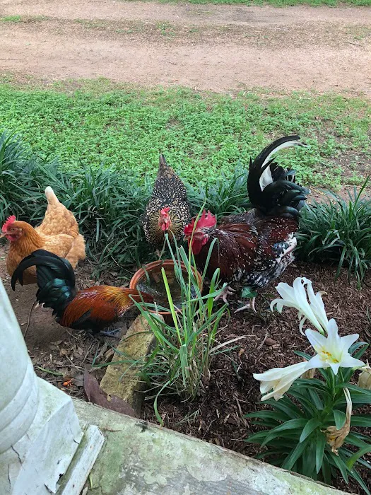 11 Oaks R.V, Park Picture 4