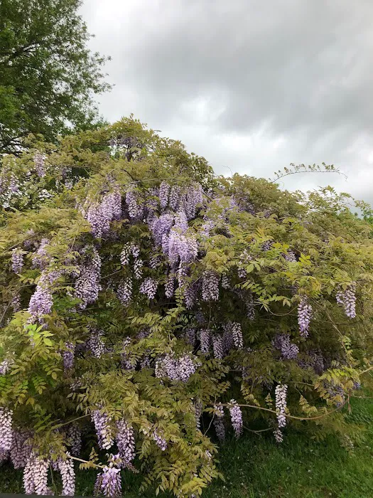 11 Oaks R.V, Park Picture 6