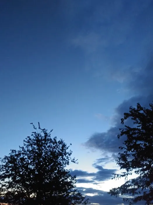 The Ranch RV at Round Top Picture 4