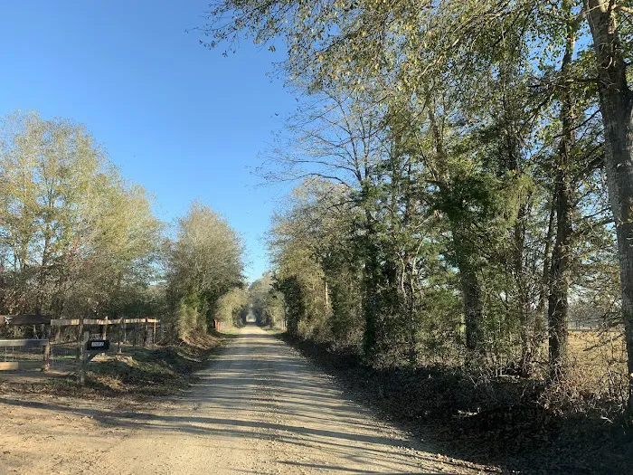 Teserra RV Park Picture 4