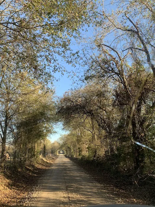 Teserra RV Park Picture 6