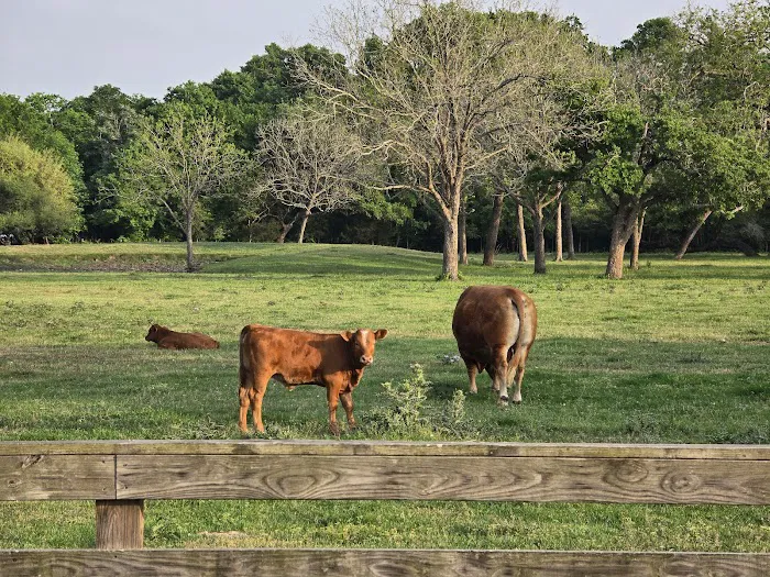 Dippel RV Park Picture 10