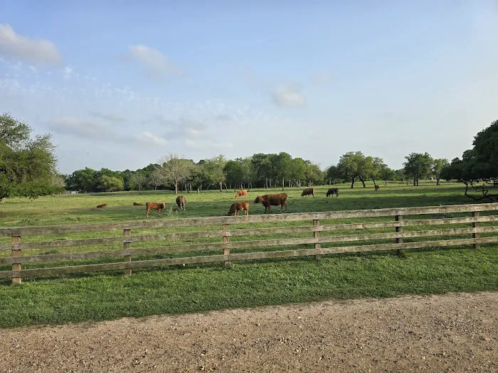 Dippel RV Park Picture 9