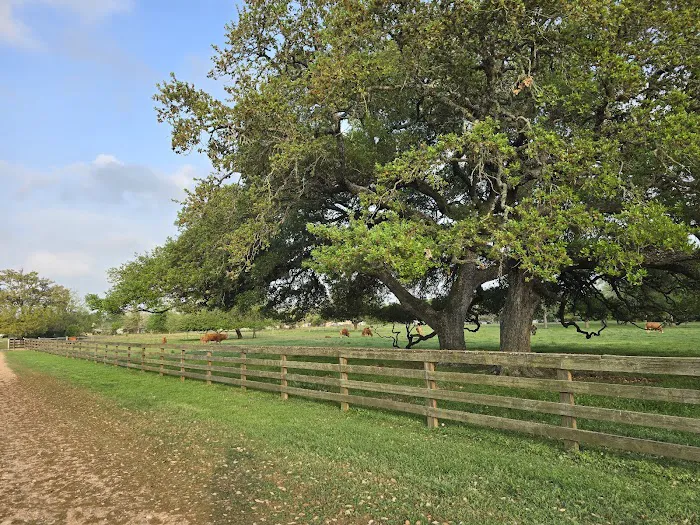 Dippel RV Park Picture 4