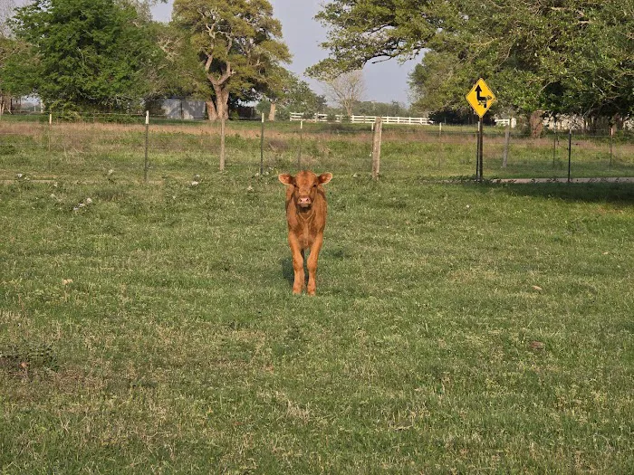 Dippel RV Park Picture 7