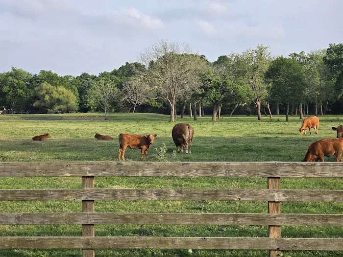 Dippel RV Park Picture 3