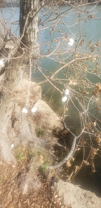 Sealy RV Park Picture 8