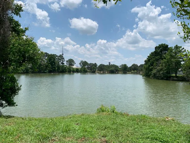 Sealy RV Park Picture 4