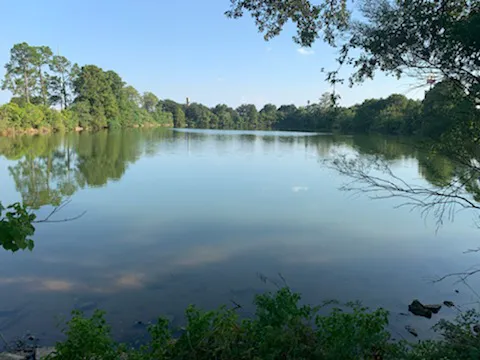 Sealy RV Park Picture 3