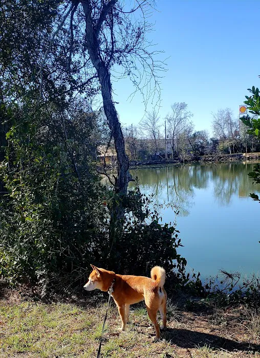 Sealy RV Park Picture 10