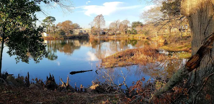 Sealy RV Park Picture 6