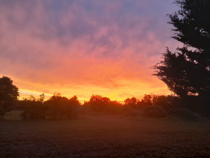 Two Frogs RV Park Picture 3