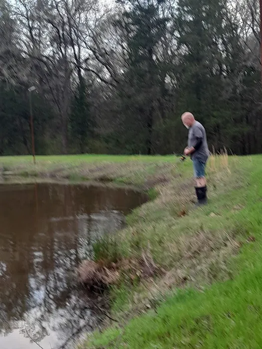 Two Frogs RV Park Picture 5