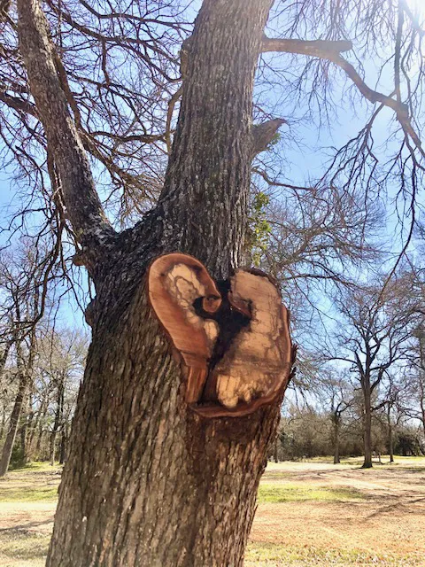 Warrior Creek RV Picture 5