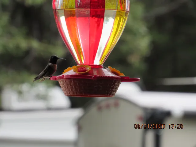 Route 82 RV Park Picture 3