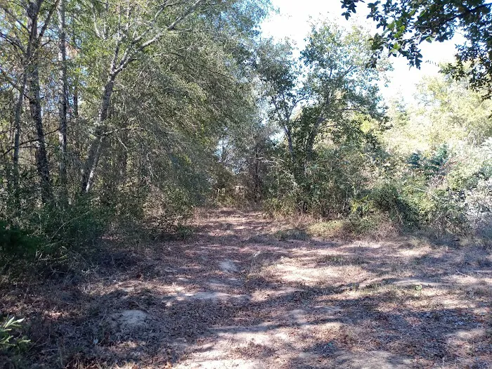 Eagle Nest Rv Park Picture 4