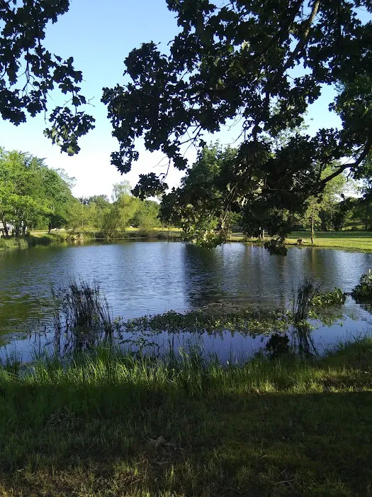 DW's RV Park Picture 6