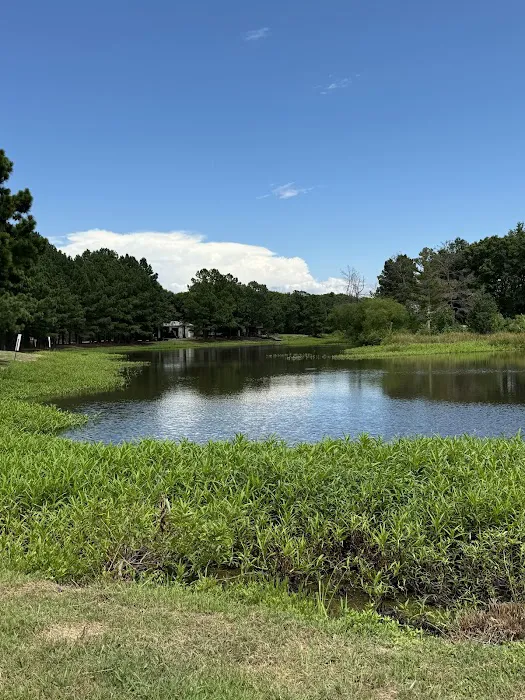 DW’s Lakeside RV Park Picture 5