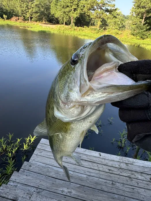 DW’s Lakeside RV Park Picture 6