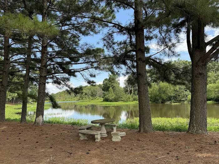 DW’s Lakeside RV Park Picture 4