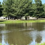 DW’s Lakeside RV Park