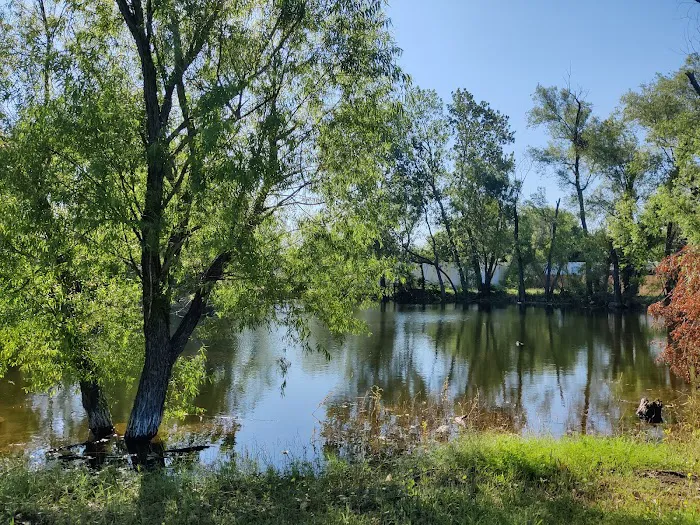 Hideaway RV Villas Picture 10