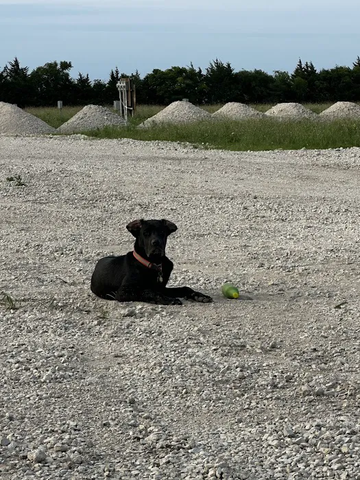 Rv Park - Wilson Way Refuge Ranch Picture 2