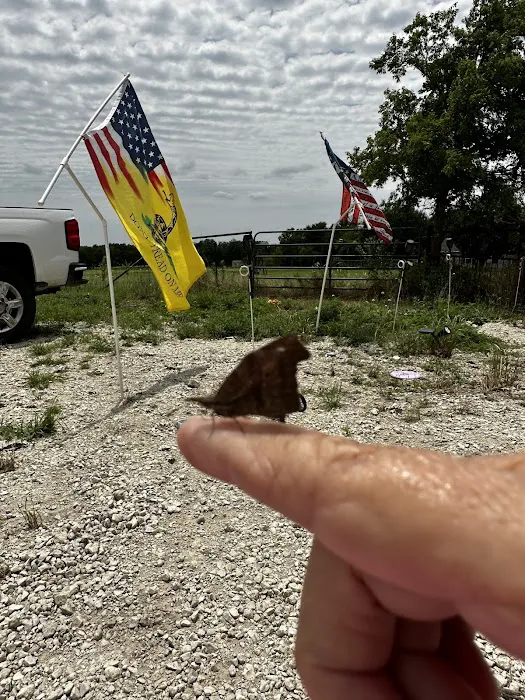 Rv Park - Wilson Way Refuge Ranch Picture 4