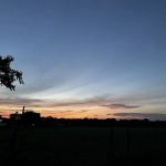 Rv Park - Wilson Way Refuge Ranch