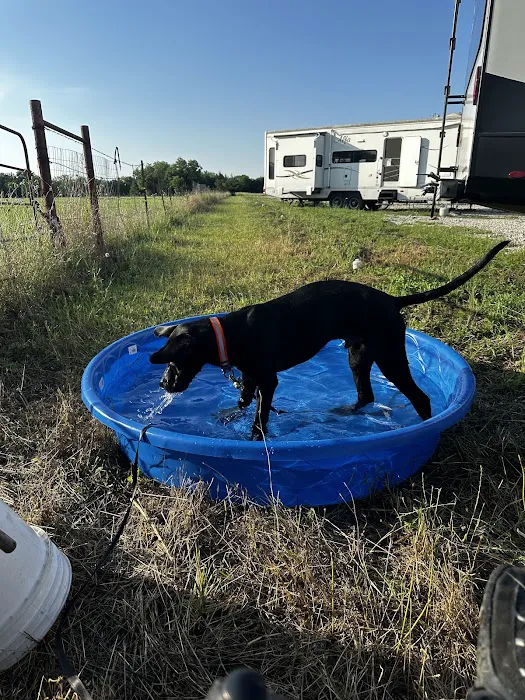 Rv Park - Wilson Way Refuge Ranch Picture 5
