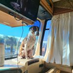 Desert Creek RV Estates