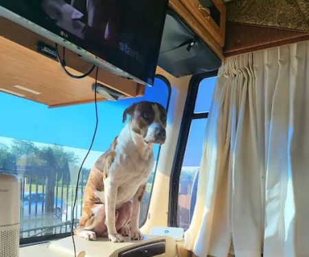 Desert Creek RV Estates