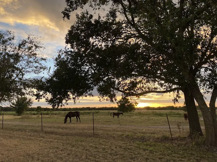 Briarflats RV resort Picture 3