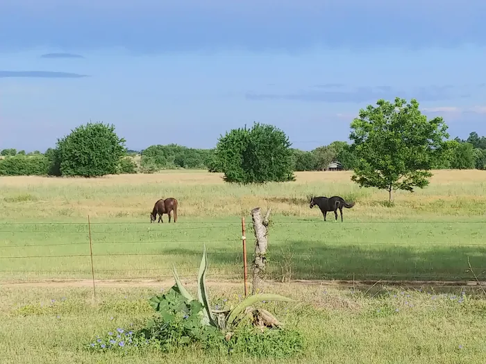 Briar Flats RV Resort and Stables Picture 10
