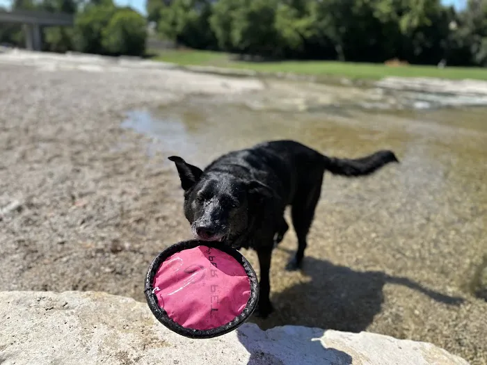 Shady Meadows Mobile Home Park Picture 5