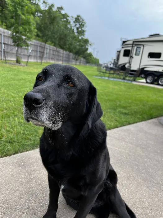 Timber Ridge RV Park Picture 5