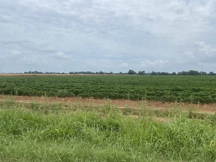 Pecan Haven R.V. Campground Picture 7