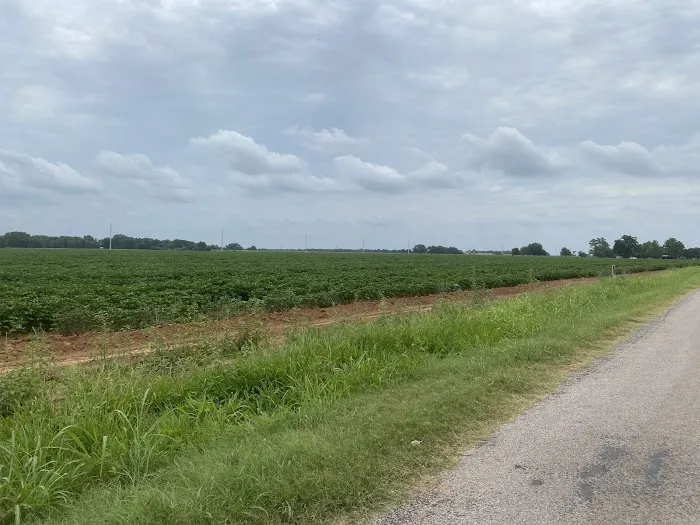 Pecan Haven R.V. Campground Picture 2