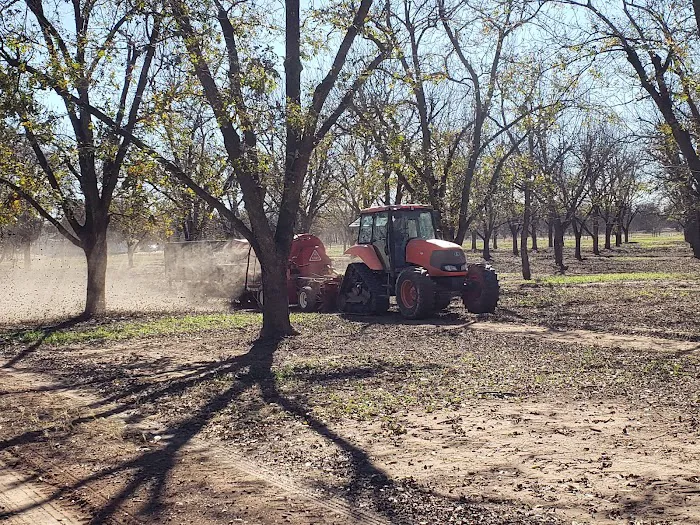 Pecan Haven R.V. Campground Picture 3