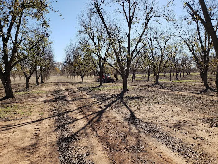 Pecan Haven R.V. Campground Picture 4