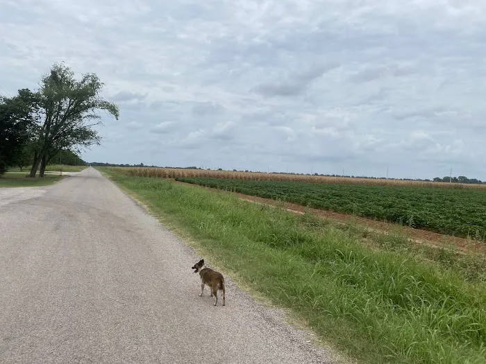 Pecan Haven R.V. Campground Picture 6