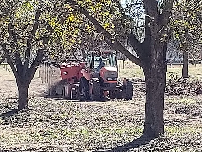 Pecan Haven R.V. Campground Picture 5
