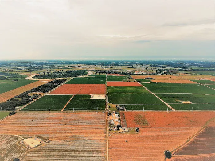 Brazos Bottom RV Park Picture 10